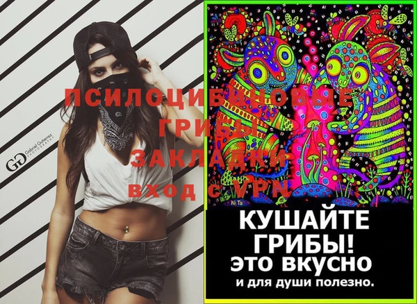бошки Костерёво