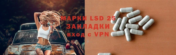 ПСИЛОЦИБИНОВЫЕ ГРИБЫ Козловка