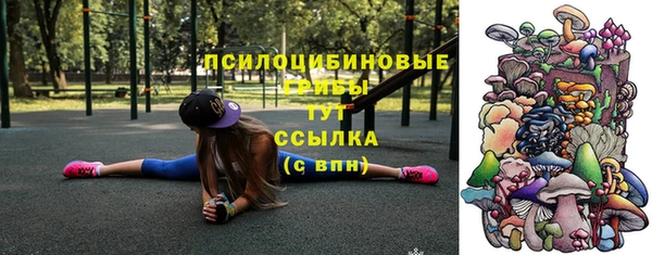 бошки Костерёво